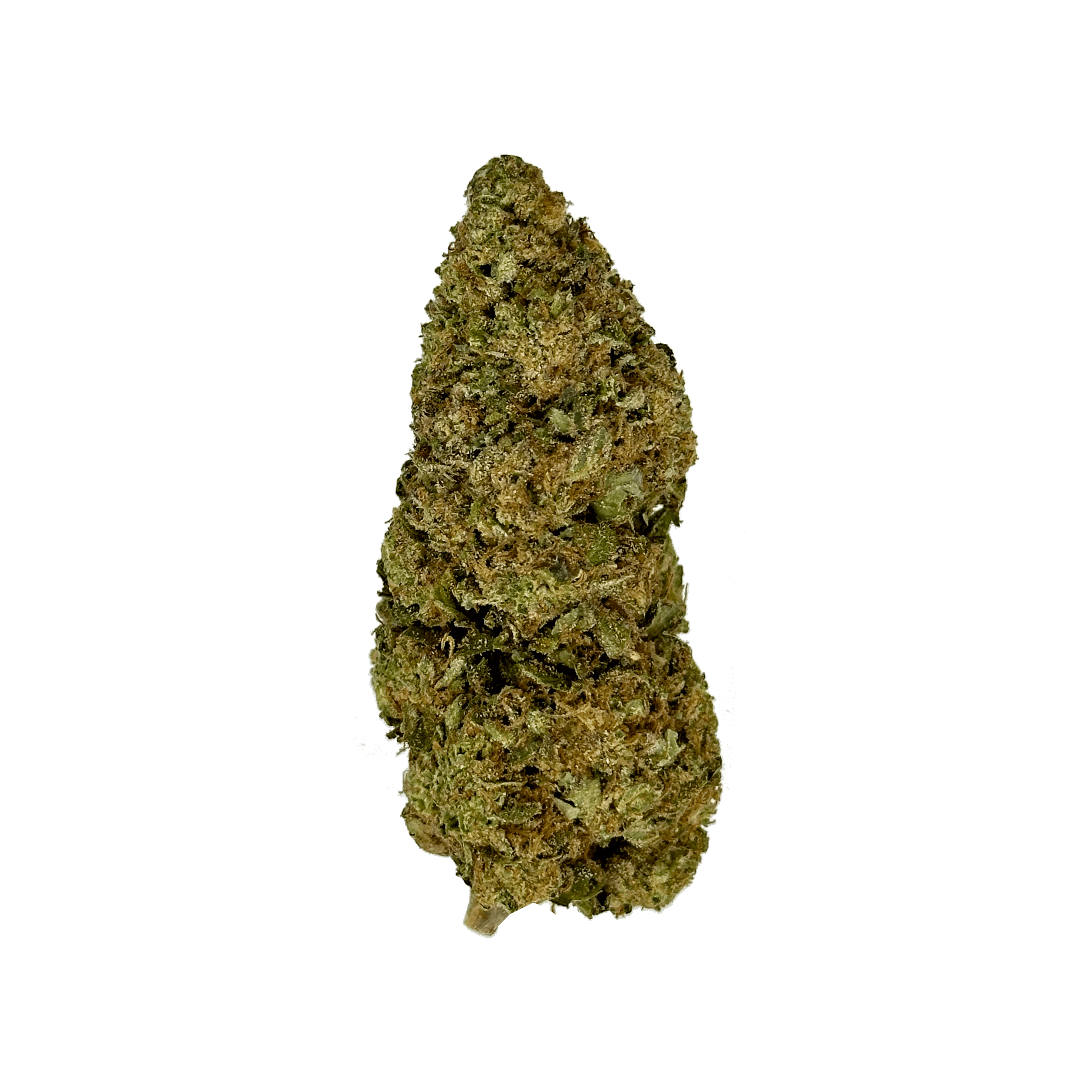 Government Oasis strain - THCA Flower